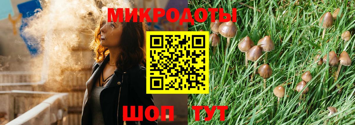 Псилоцибиновые грибы мухоморы Таганрог