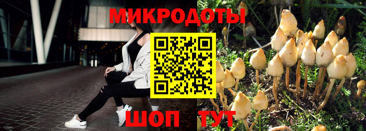 Таганрог  Галлюциногенные грибы мухоморы  Вход с VPN 